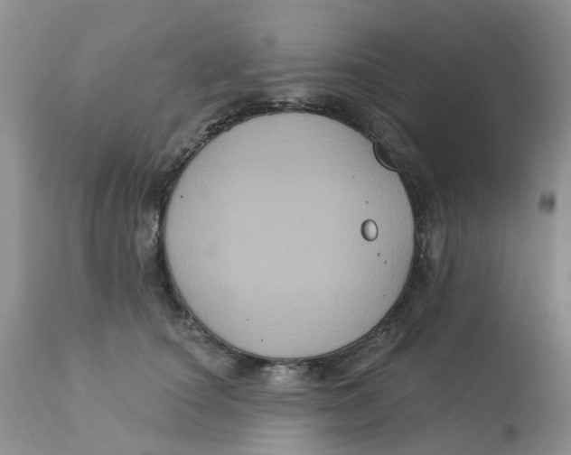 X0000113180660200909251443
