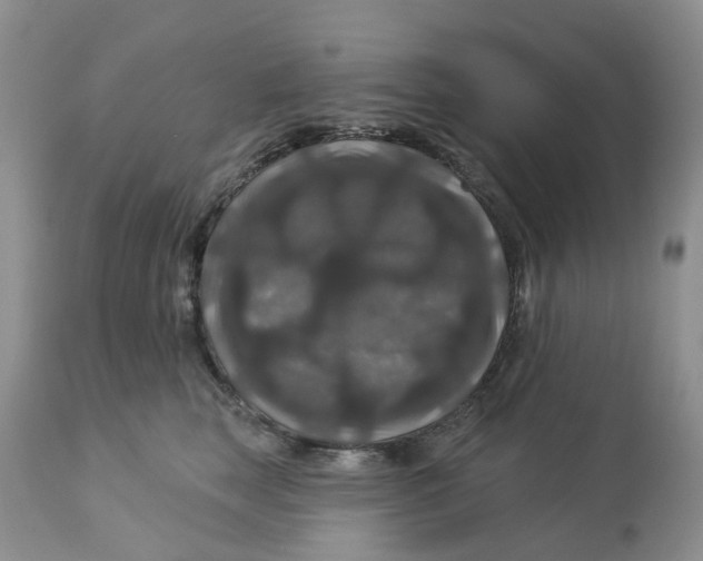 X0000113180663200909251443