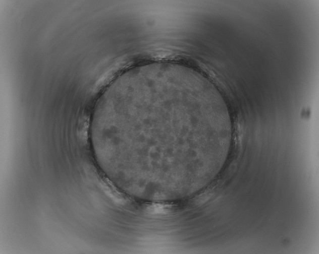 X0000113180664200909251443