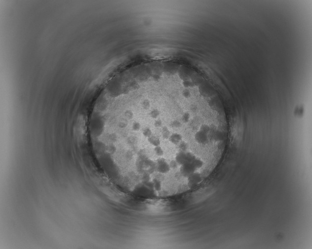 X0000113180667200909251443