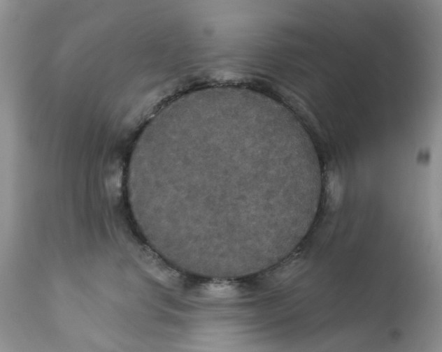 X0000113180668200909251443
