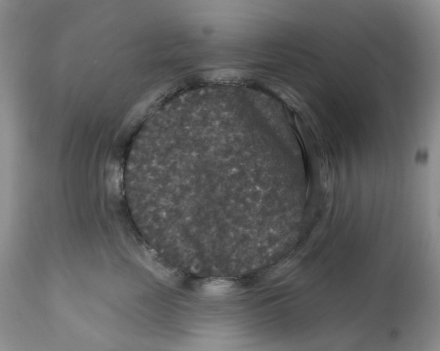 X0000113180669200909251443