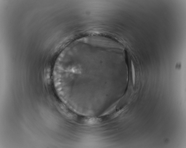 X0000113180670200909251443