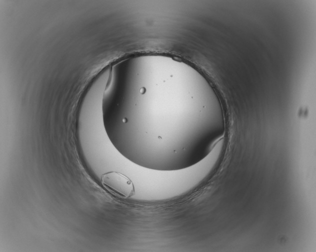 X0000113180673200909251442