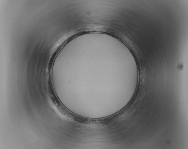 X0000113180674200909251442