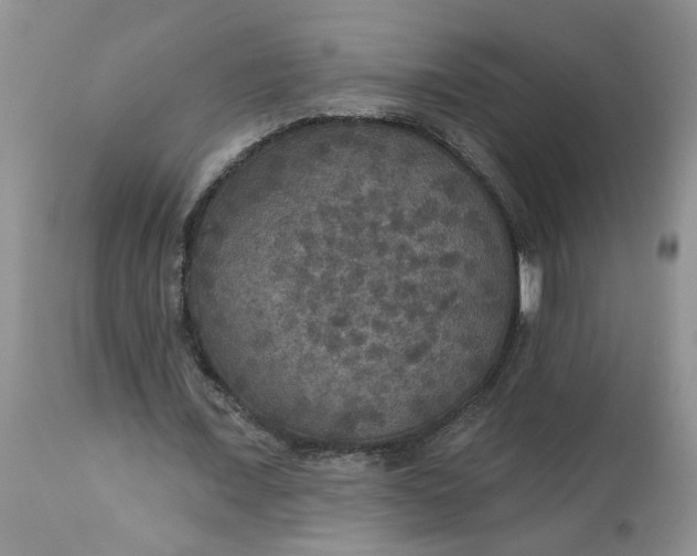 X0000113180675200909251442
