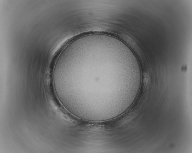 X0000113180676200909251442
