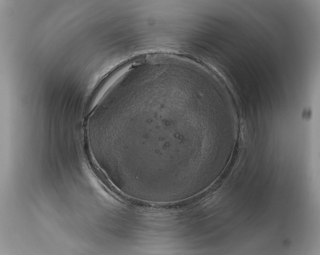 X0000113180677200909251442
