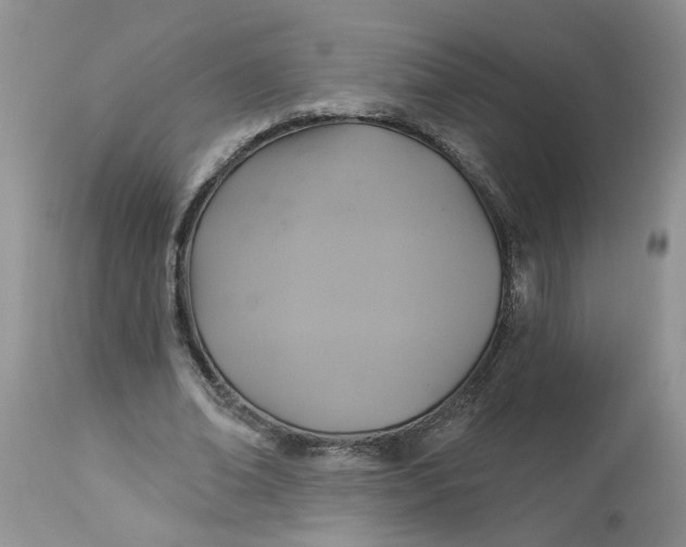 X0000113180678200909251442