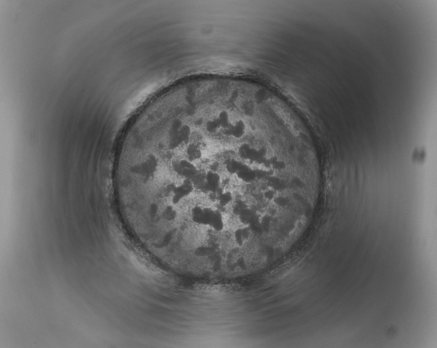 X0000113180679200909251442