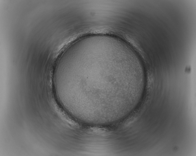 X0000113180681200909251442