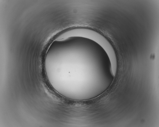 X0000113180684200909251442