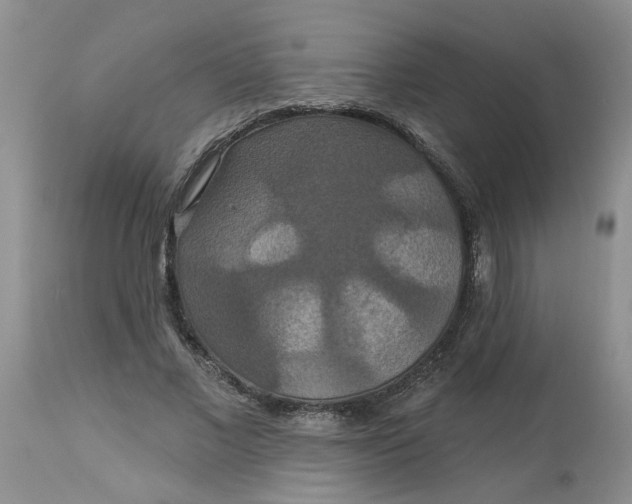 X0000113180685200909251442