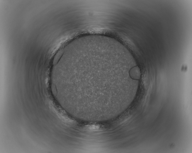 X0000113180687200909251442