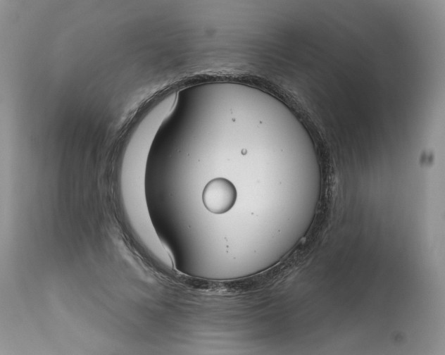 X0000113180688200909251442