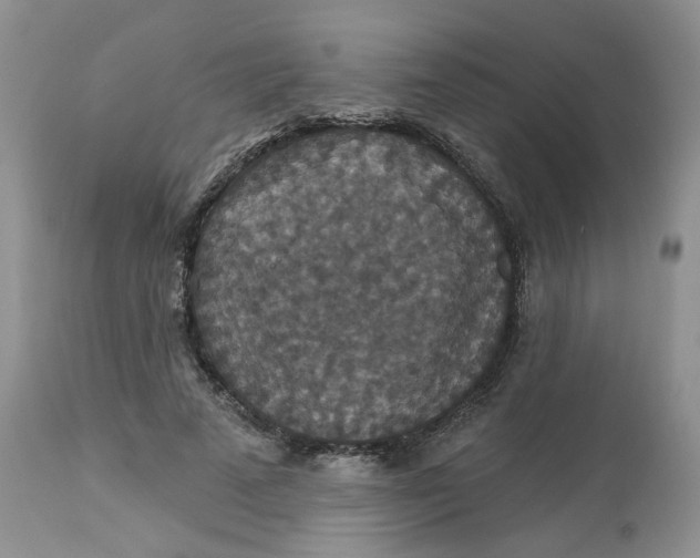 X0000113180689200909251442
