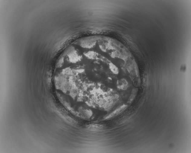 X0000113180691200909251442