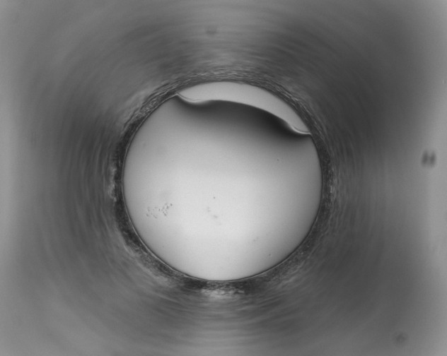 X0000113180693200909251442