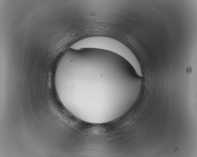 X0000113180696200909251442
