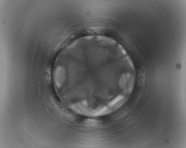 X0000113180699200909251442