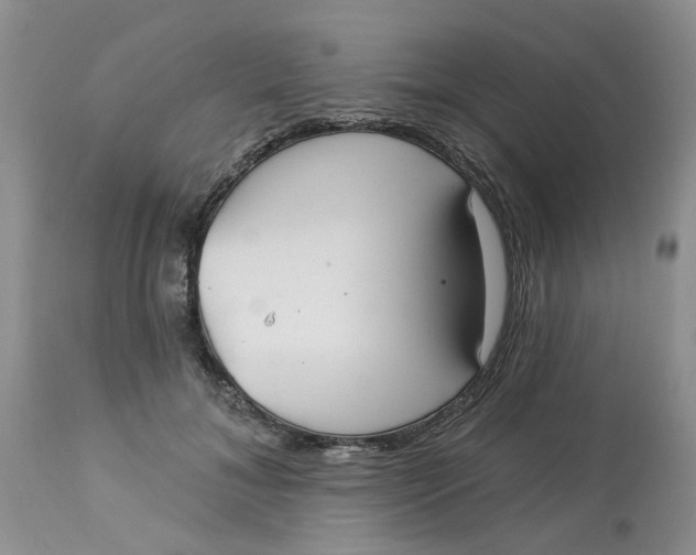 X0000113180700200909251442