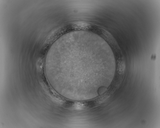X0000113180701200909251442
