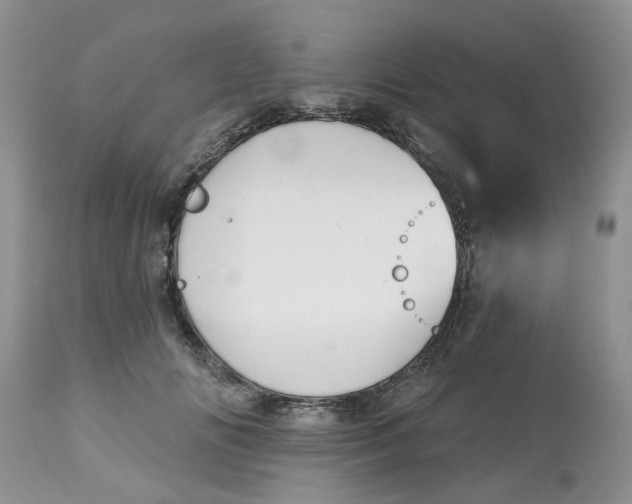 X0000113180702200909251442