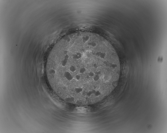 X0000113180703200909251441