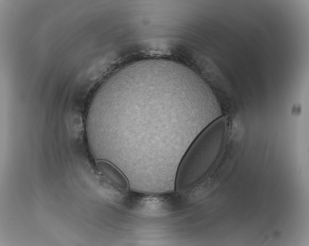 X0000113180704200909251441