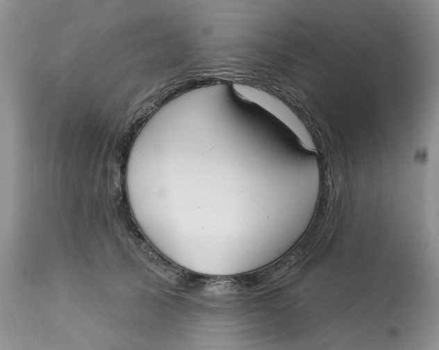 X0000113180705200909251441