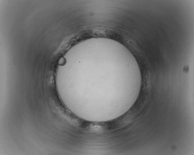 X0000113180706200909251441