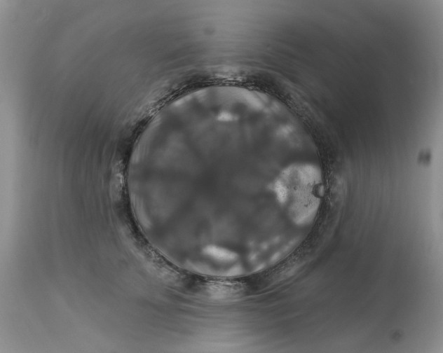 X0000113180707200909251441