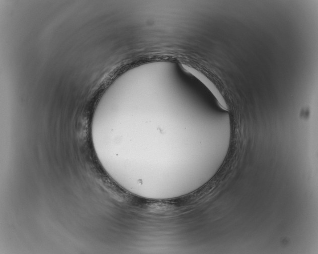 X0000113180708200909251441