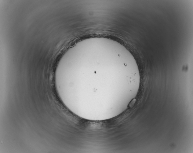 X0000113180709200909251441