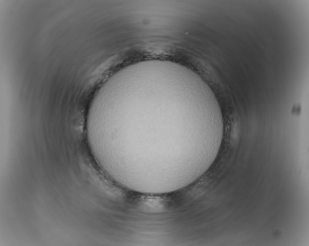 X0000113180710200909251441