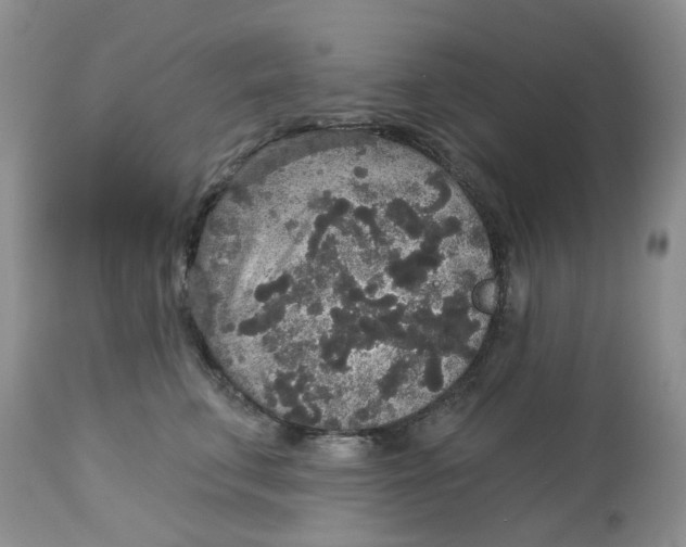 X0000113180711200909251441