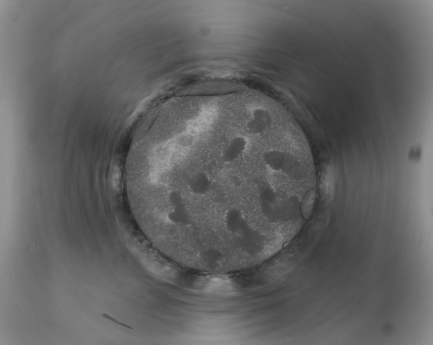 X0000113180715200909251441