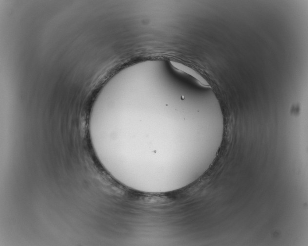 X0000113180716200909251441