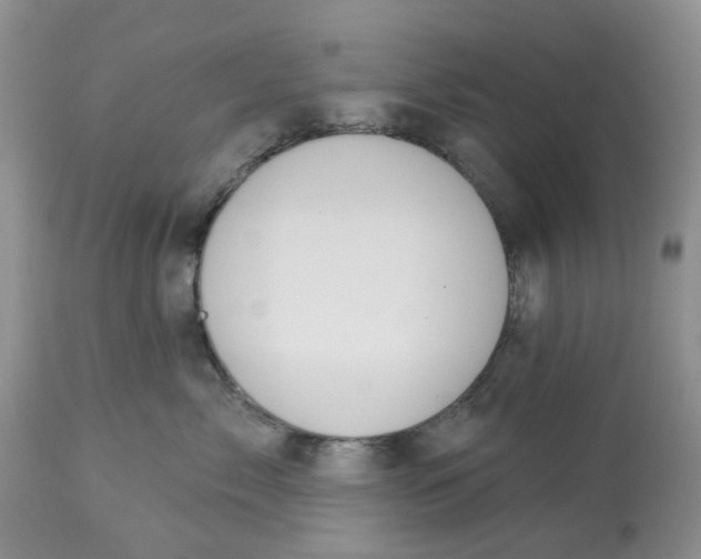 X0000113180717200909251441