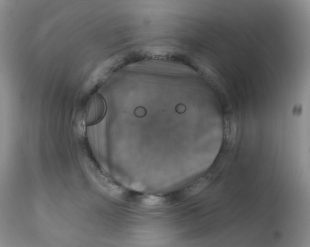 X0000113180718200909251441