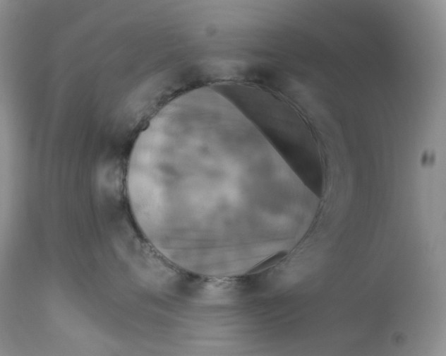 X0000113180720200909251441