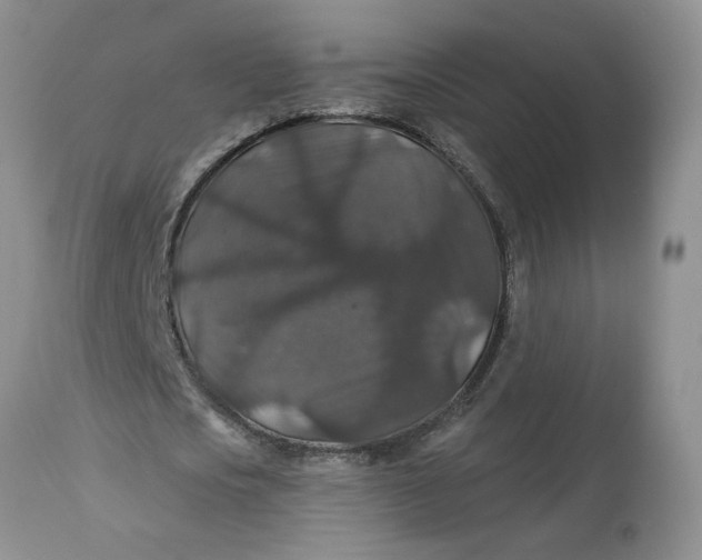 X0000113180721200909251441