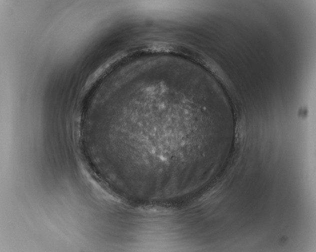 X0000113180722200909251441