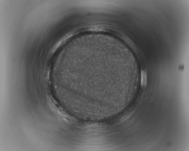 X0000113180723200909251441