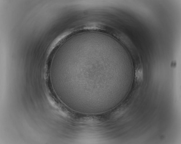 X0000113180724200909251441