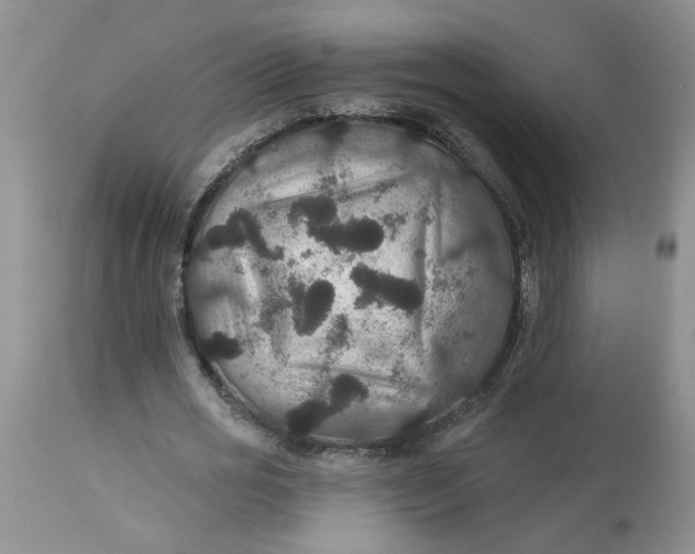 X0000113180725200909251441