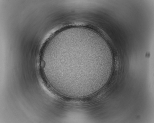 X0000113180726200909251441