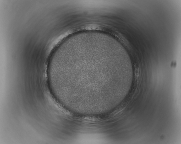 X0000113180727200909251441