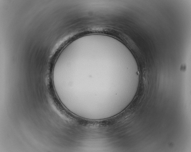 X0000113180728200909251441
