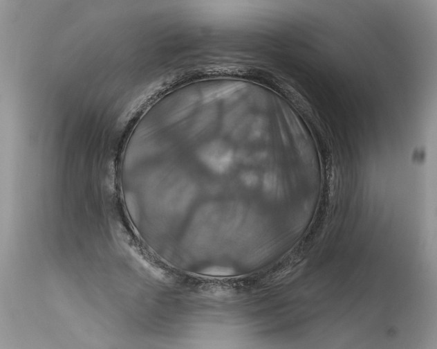 X0000113180729200909251441